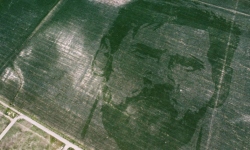 VIDEO DŇA: Farmár si 'vypestoval' Messiho v kukuričnom poli